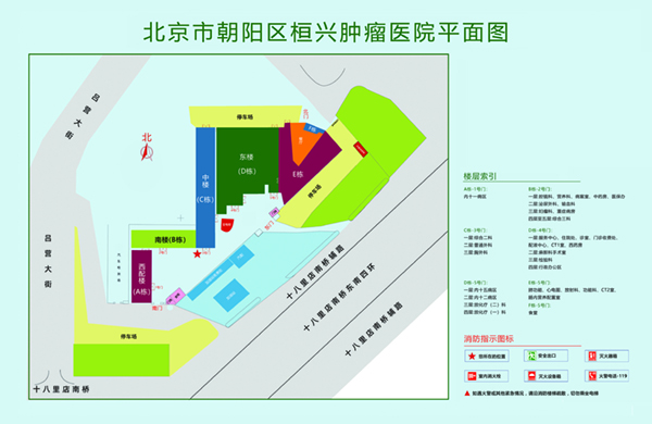 啊爽用力操逼免费视频北京市朝阳区桓兴肿瘤医院平面图